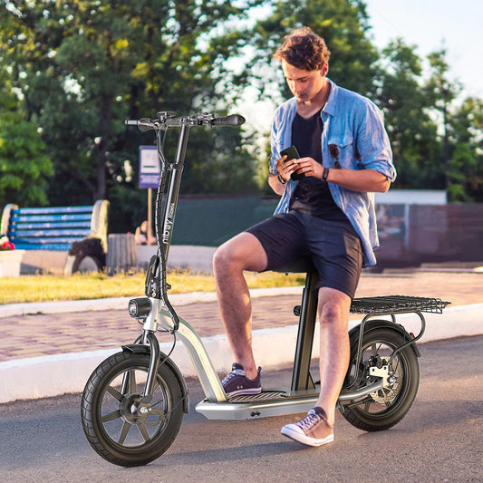 ECOM 14 Electric Scooter - Fat Tire Commuter